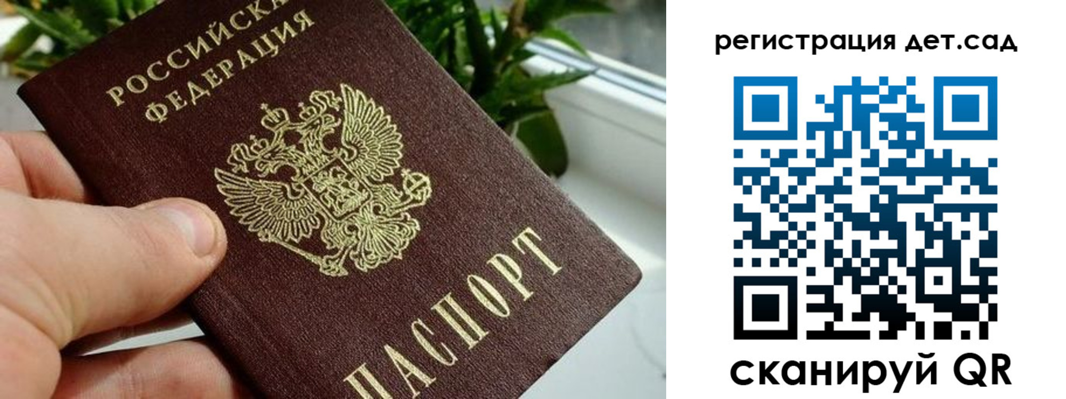 найти адрес прописки в Луге